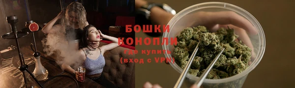 экстази Гусев