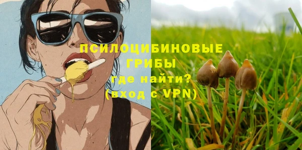 молекула духа Гусиноозёрск