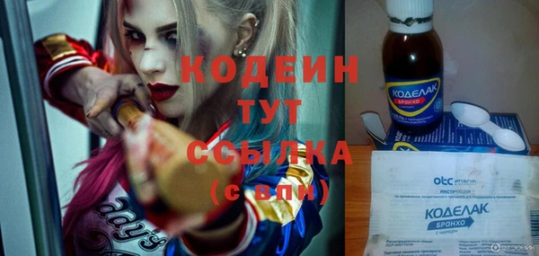 экстази Гусев