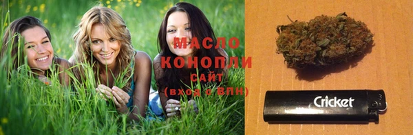 молекула духа Гусиноозёрск