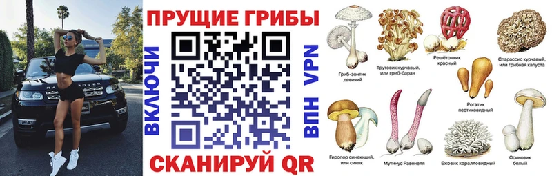 мега маркетплейс  Радужный  Галлюциногенные грибы прущие грибы 