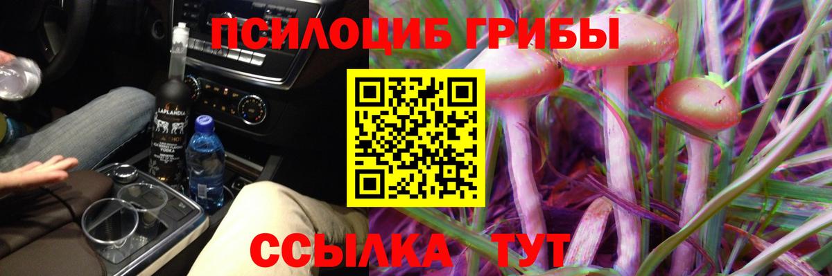 Галлюциногенные грибы Psilocybine cubensis Радужный